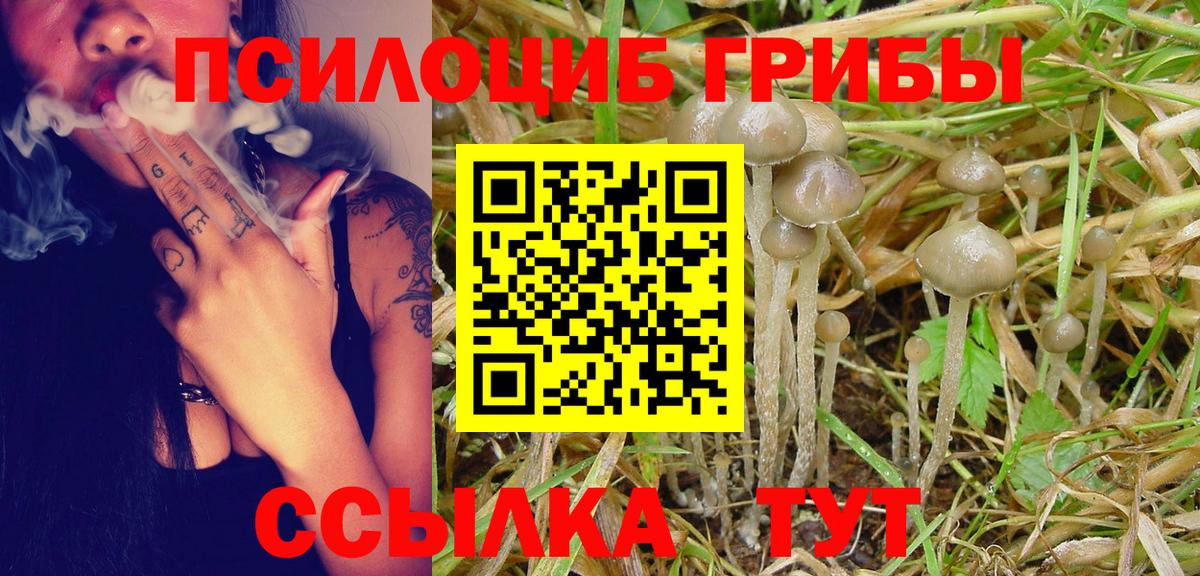 Псилоцибиновые грибы прущие грибы Александров